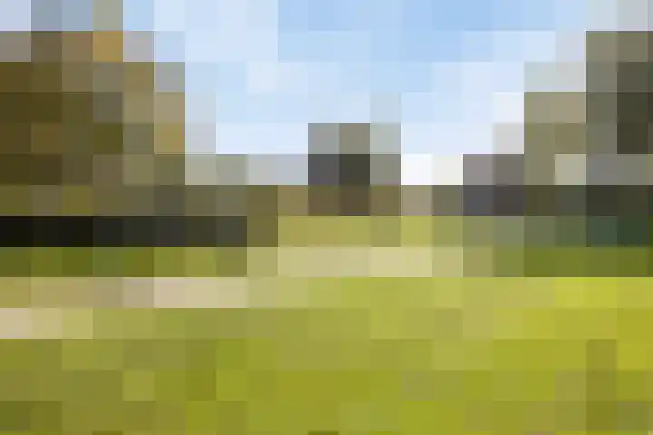 't Hooren Werck 8 Klundert thumbnail 41