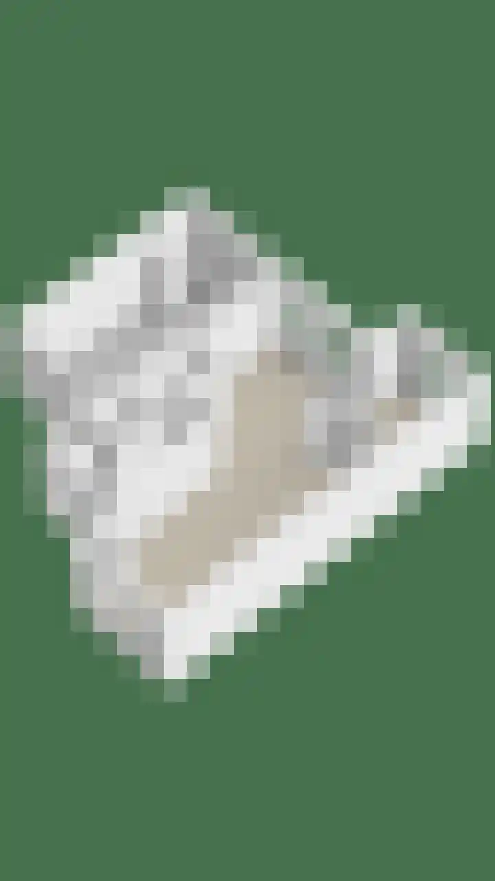 't Hooren Werck 8 Klundert thumbnail 46