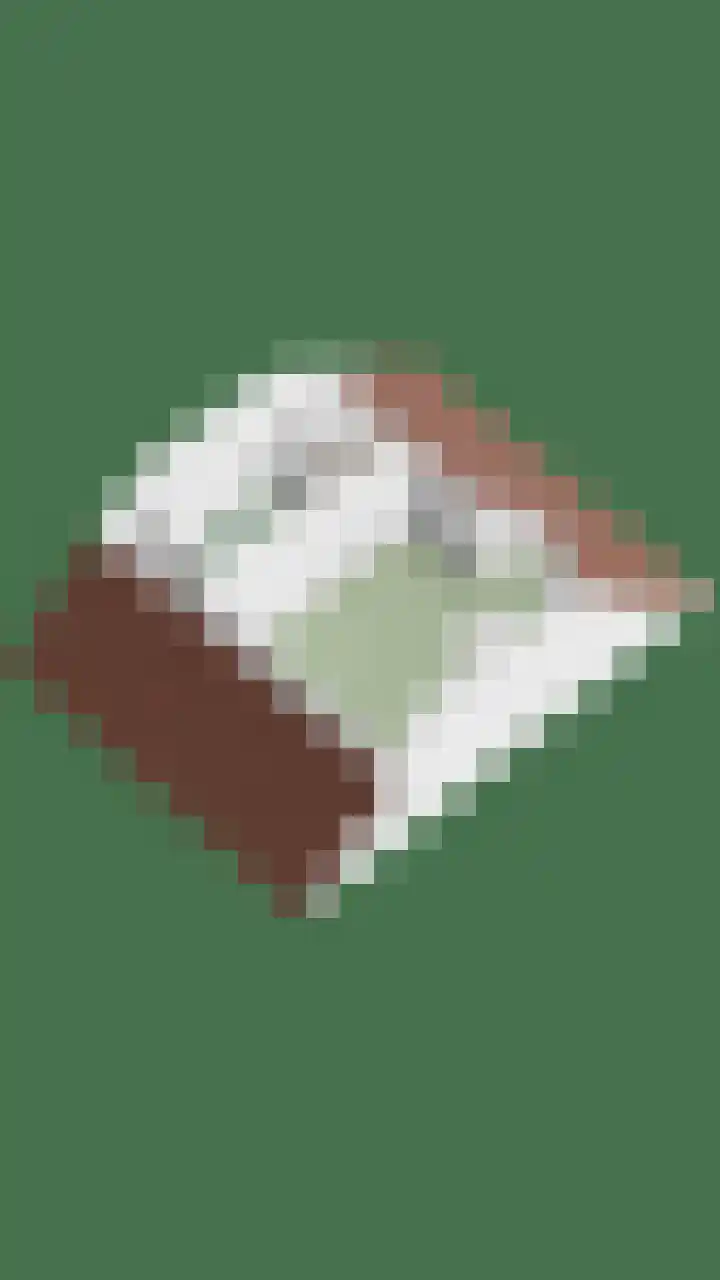 't Hooren Werck 8 Klundert thumbnail 48