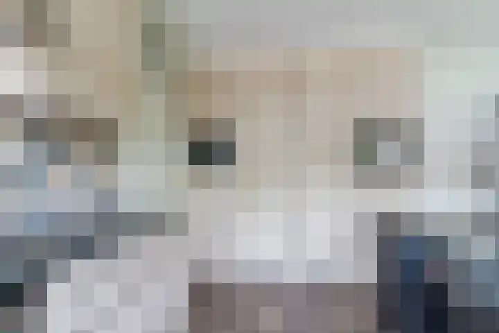 't Horntje 1 Bergen (NH) thumbnail 11