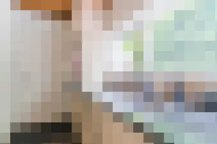 't Horntje 1 Bergen (NH) thumbnail 13