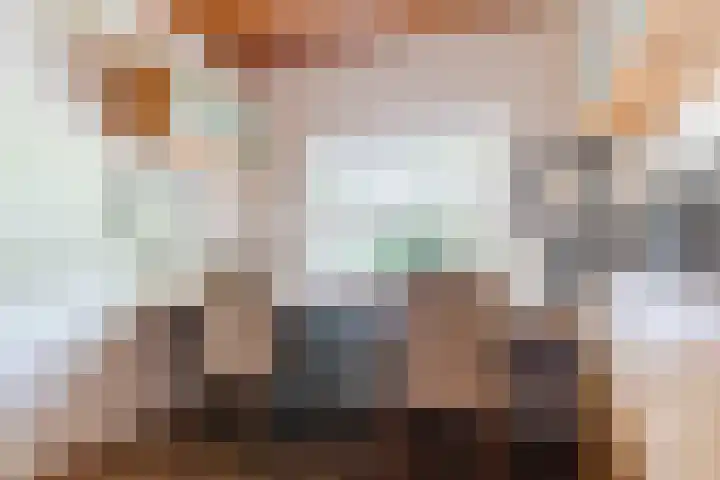 't Horntje 1 Bergen (NH) thumbnail 14