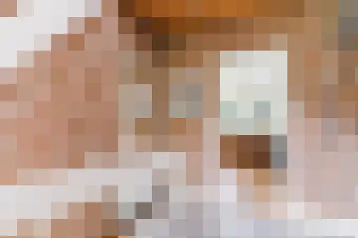 't Horntje 1 Bergen (NH) thumbnail 18