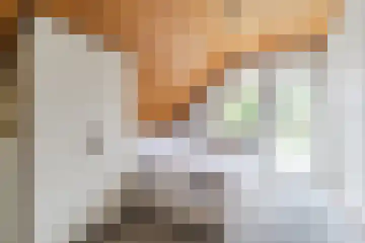 't Horntje 1 Bergen (NH) thumbnail 20