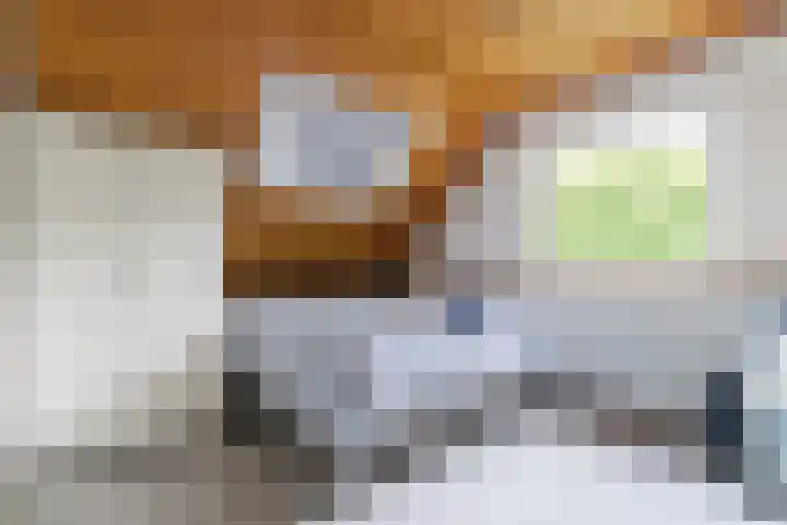 't Horntje 1 Bergen (NH) thumbnail 22