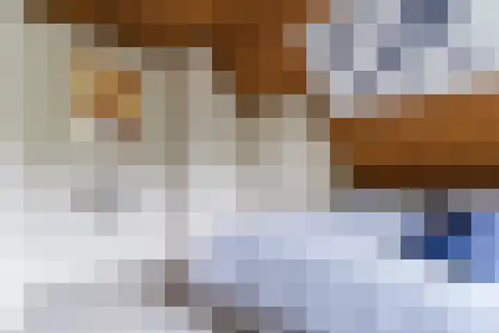 't Horntje 1 Bergen (NH) thumbnail 24