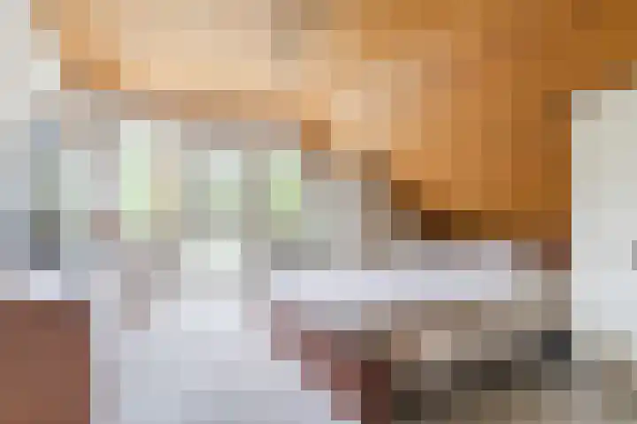 't Horntje 1 Bergen (NH) thumbnail 25