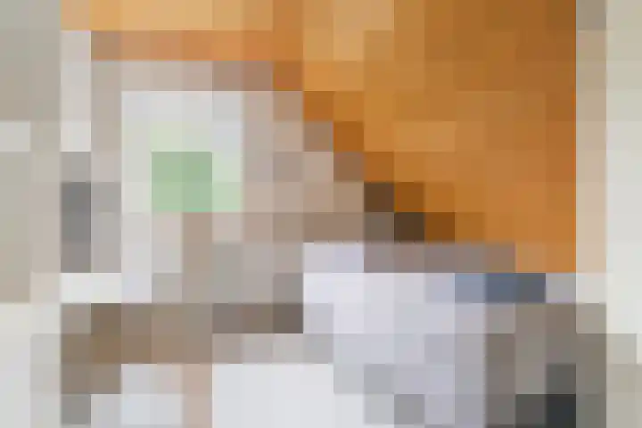 't Horntje 1 Bergen (NH) thumbnail 27