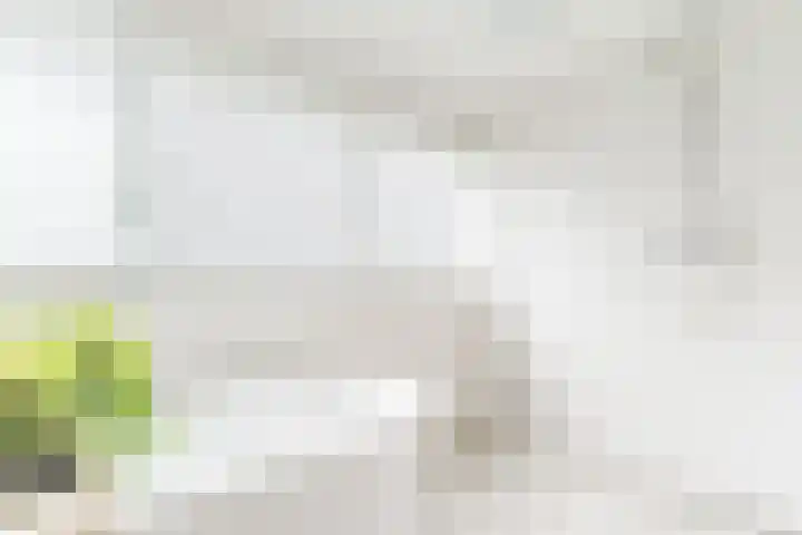 't Horntje 1 Bergen (NH) thumbnail 30
