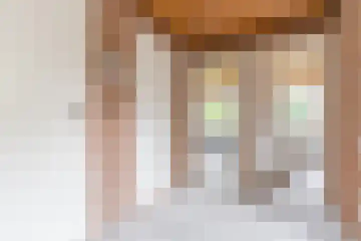 't Horntje 1 Bergen (NH) thumbnail 32