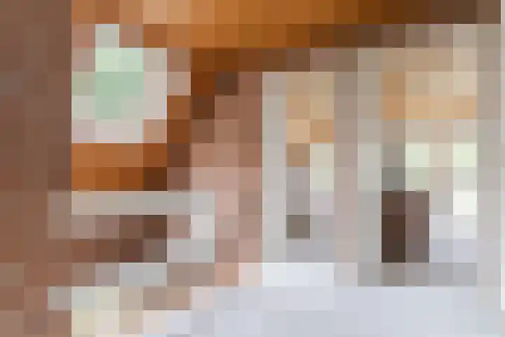 't Horntje 1 Bergen (NH) thumbnail 33
