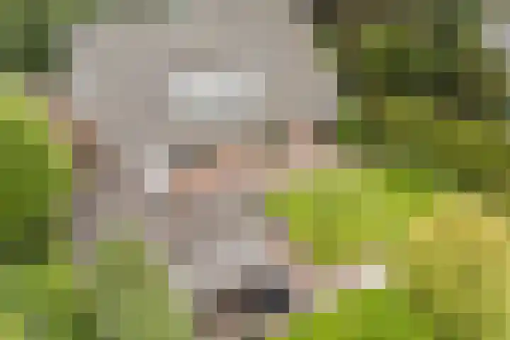 't Horntje 1 Bergen (NH) thumbnail 37