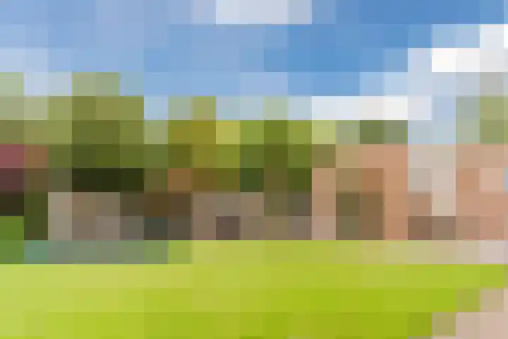 't Horntje 1 Bergen (NH) thumbnail 38