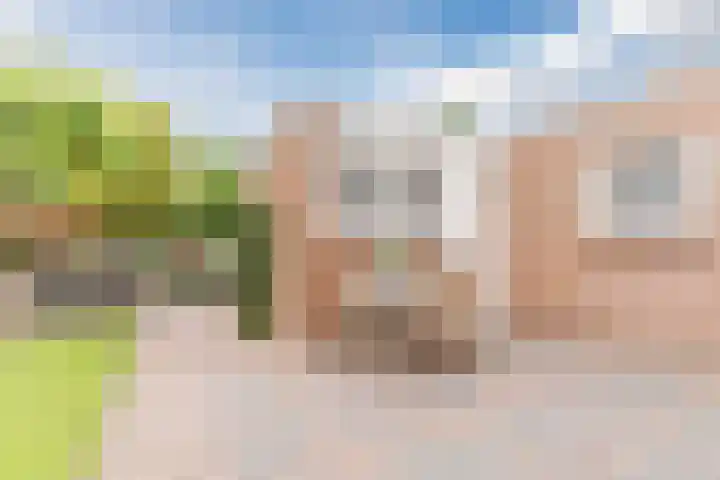 't Horntje 1 Bergen (NH) thumbnail 39