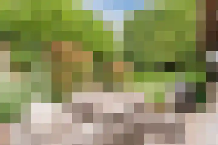 't Horntje 1 Bergen (NH) thumbnail 42