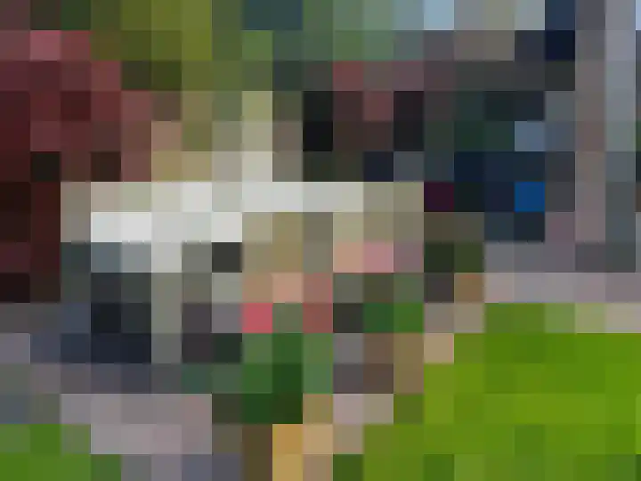 't Horntje 1 Bergen (NH) thumbnail 43