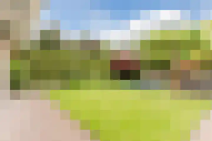't Horntje 1 Bergen (NH) thumbnail 45