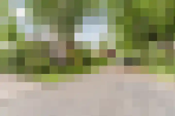 't Horntje 1 Bergen (NH) thumbnail 49