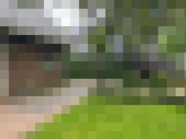 't Horntje 1 Bergen (NH) thumbnail 50