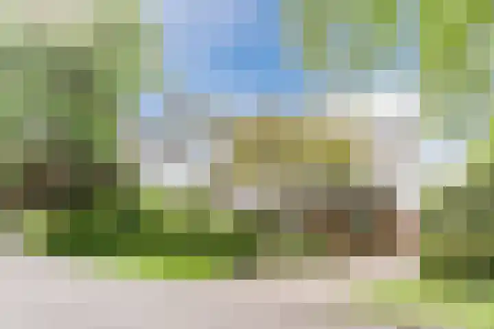 't Horntje 1 Bergen (NH) thumbnail 59