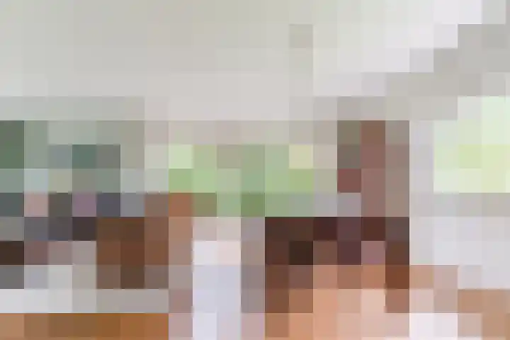 't Horntje 1 Bergen (NH) thumbnail 8