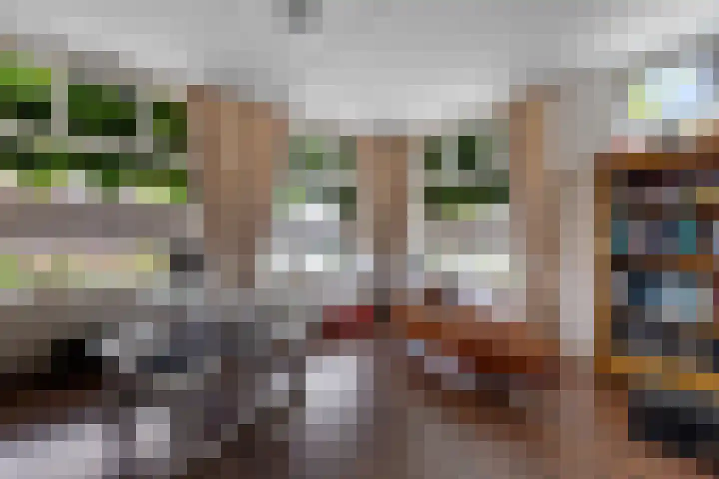 't Hou 11 Langezwaag thumbnail 18
