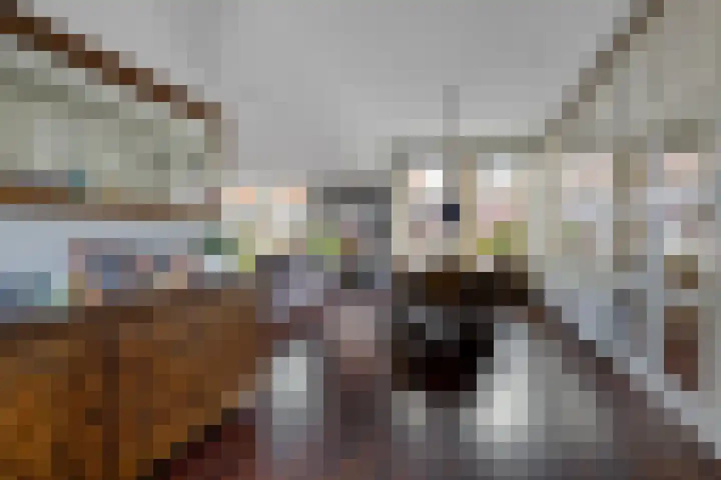 't Hou 11 Langezwaag thumbnail 24