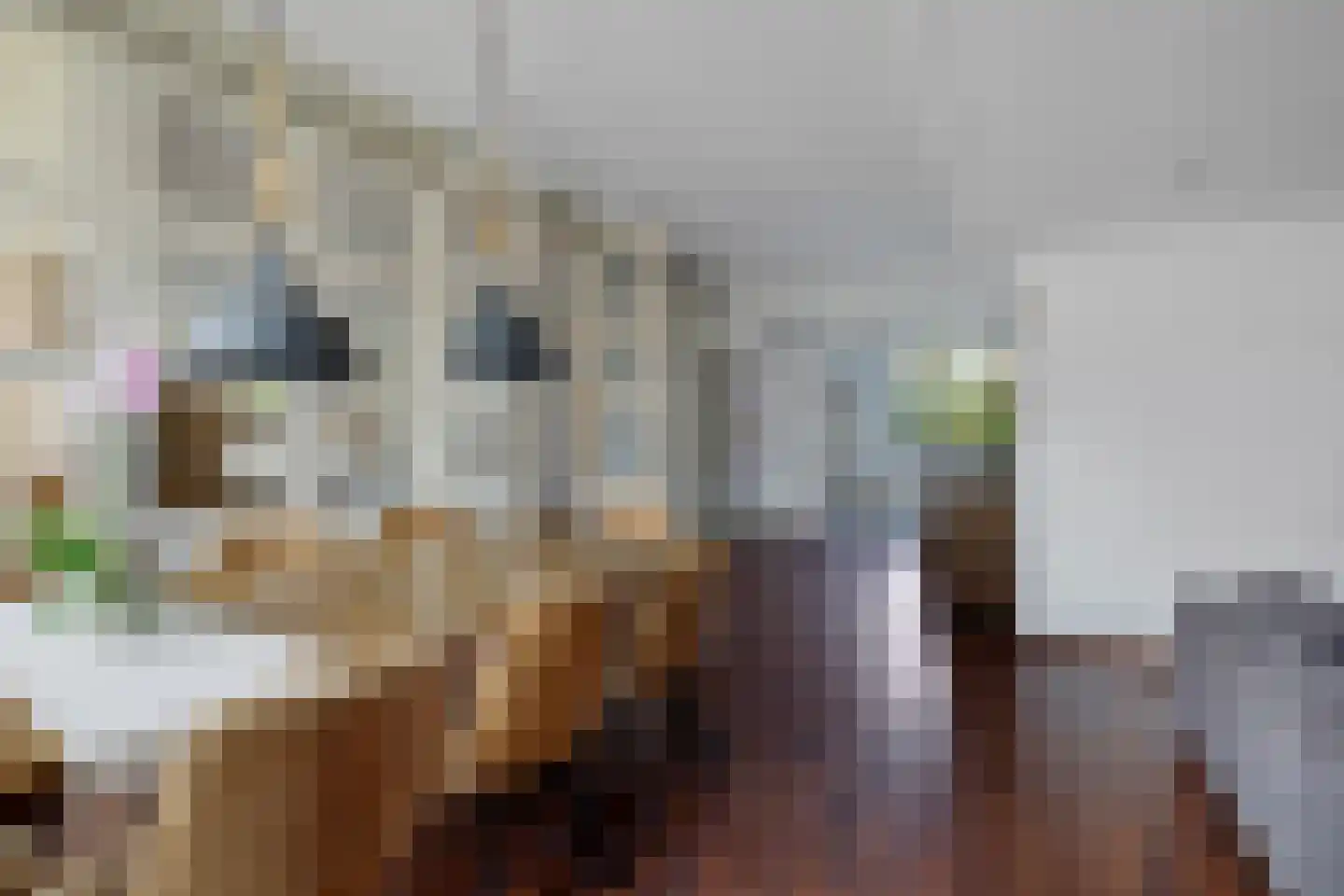 't Hou 11 Langezwaag thumbnail 25