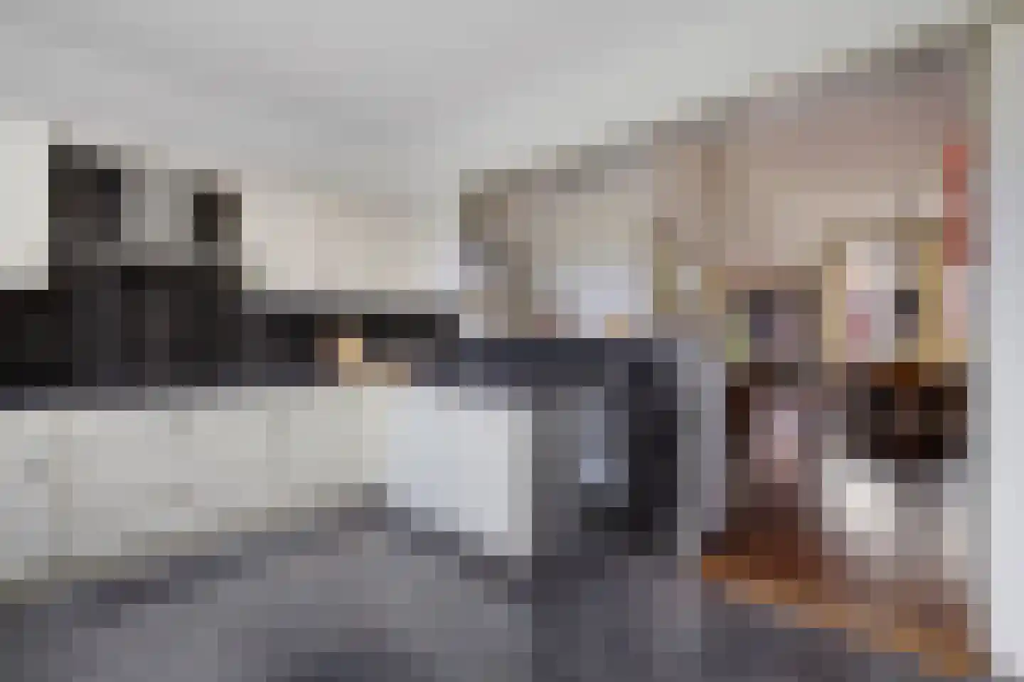 't Hou 11 Langezwaag thumbnail 27