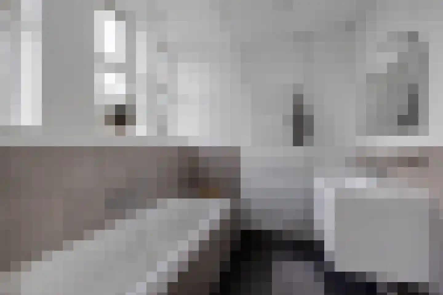 't Hou 11 Langezwaag thumbnail 29