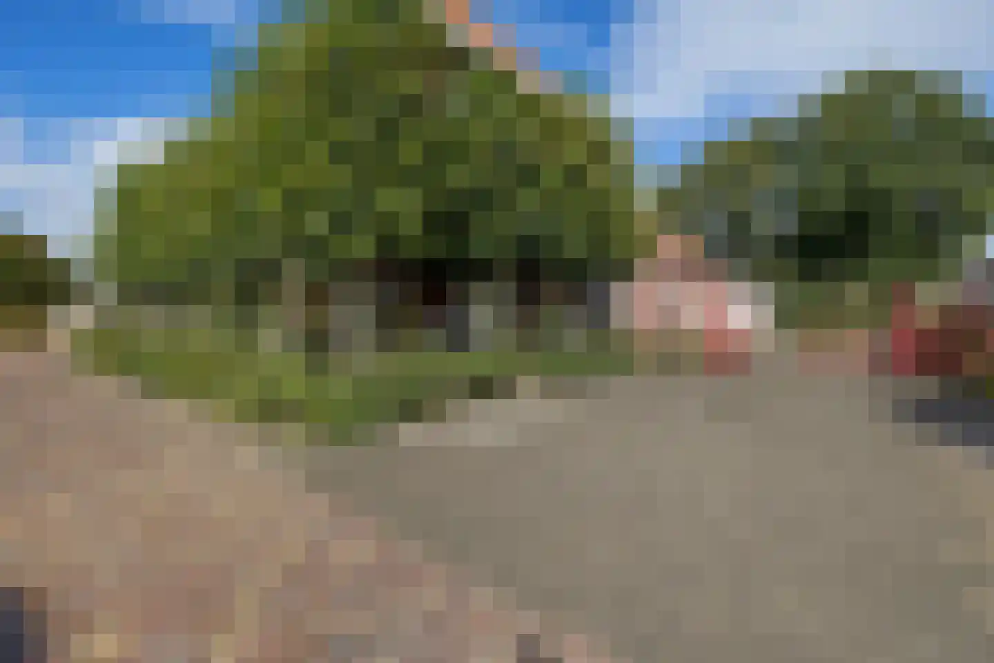 't Hou 11 Langezwaag thumbnail 42