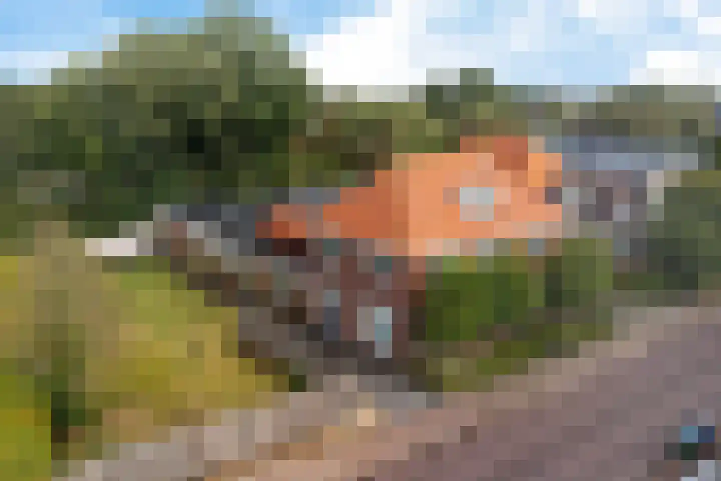't Hou 11 Langezwaag thumbnail 46