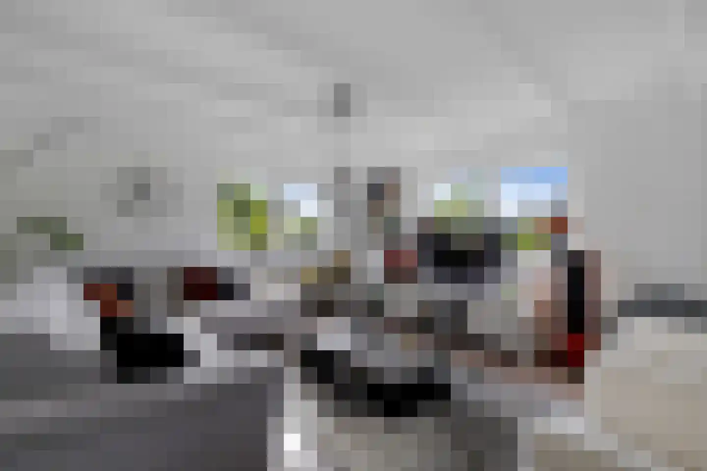't Hou 11 Langezwaag thumbnail 50