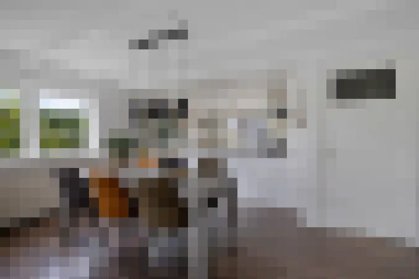 't Hou 11 Langezwaag thumbnail 52