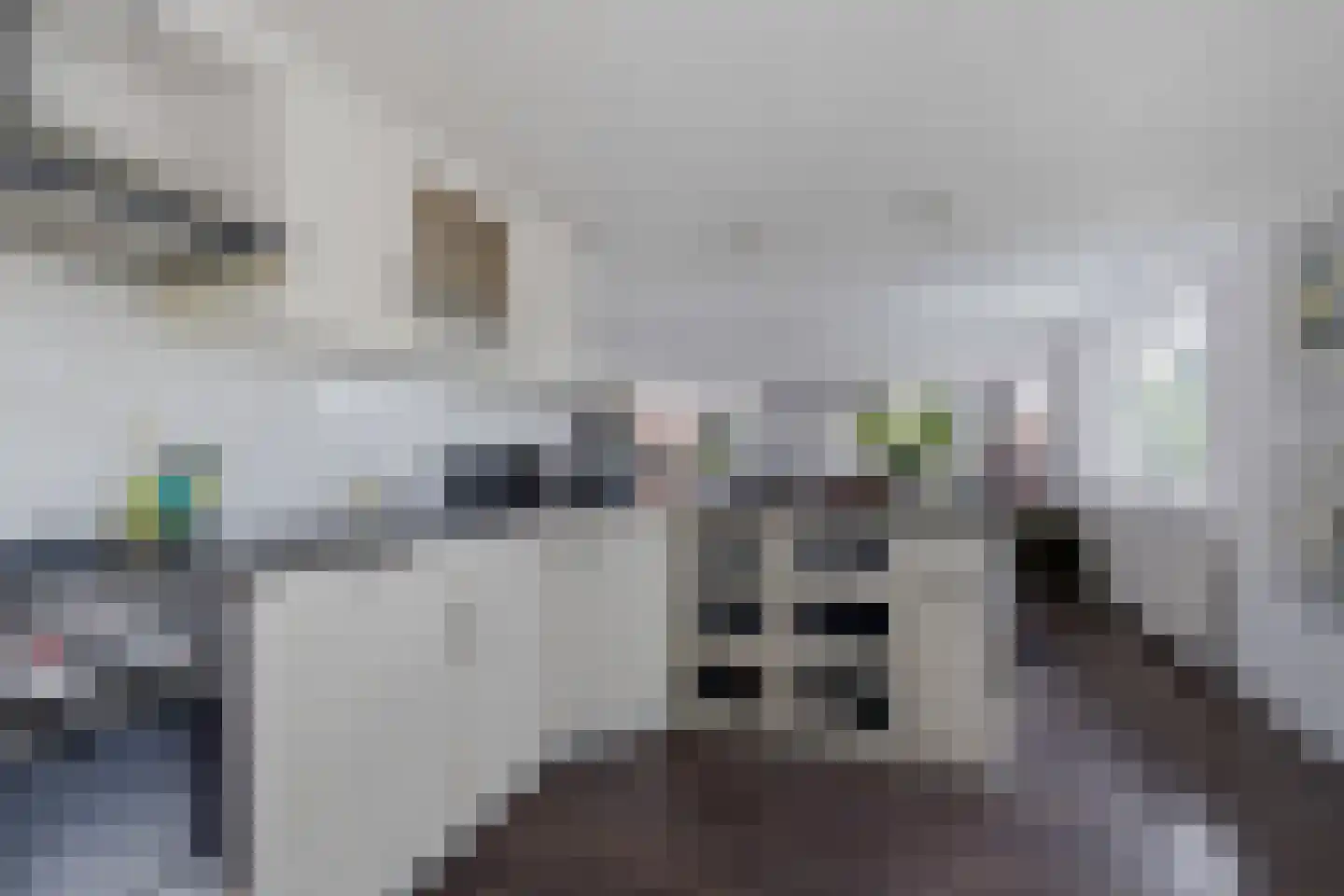 't Hou 11 Langezwaag thumbnail 53