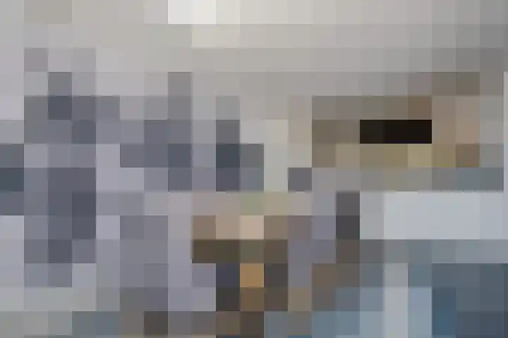 't Hou 4 Langezwaag thumbnail 10