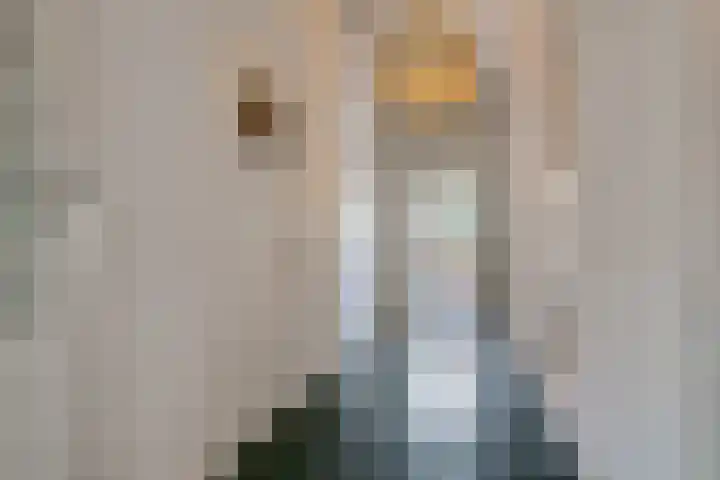 't Hou 4 Langezwaag thumbnail 16