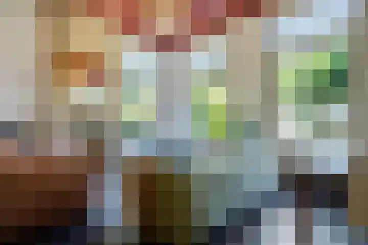 't Hou 4 Langezwaag thumbnail 21