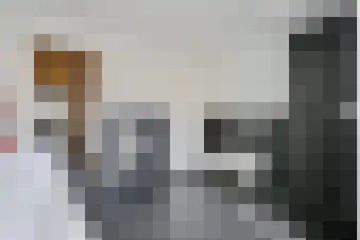 't Hou 4 Langezwaag thumbnail 27