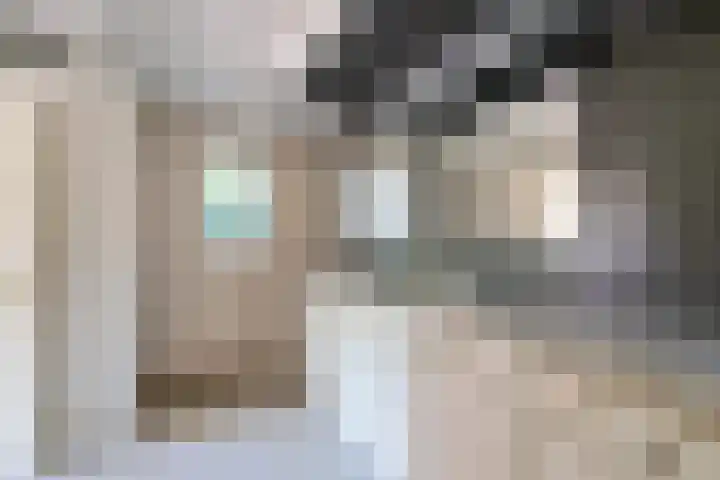 't Hou 4 Langezwaag thumbnail 43
