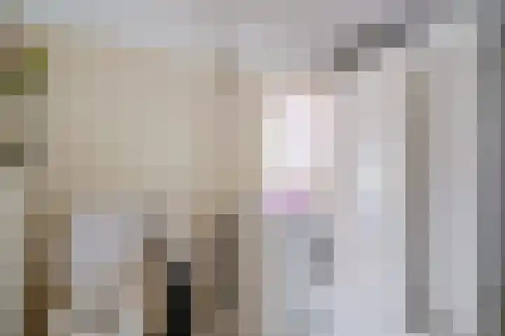 't Hou 4 Langezwaag thumbnail 44