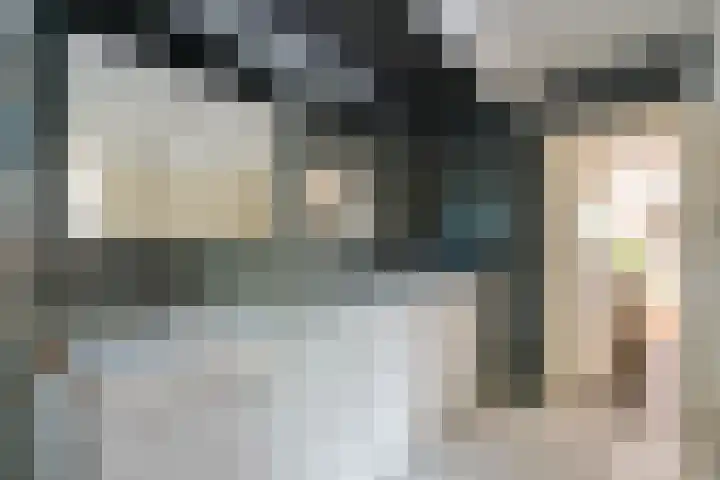 't Hou 4 Langezwaag thumbnail 45