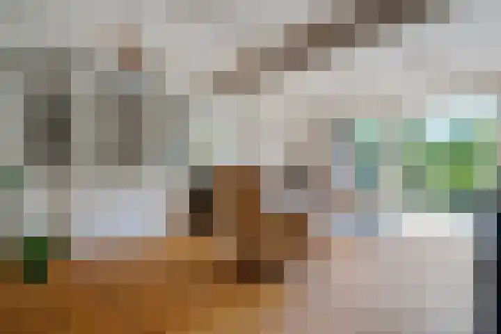't Hou 4 Langezwaag thumbnail 48