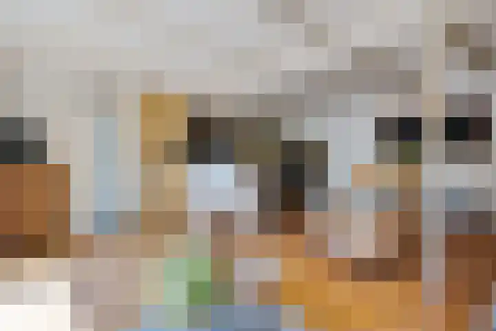 't Hou 4 Langezwaag thumbnail 49