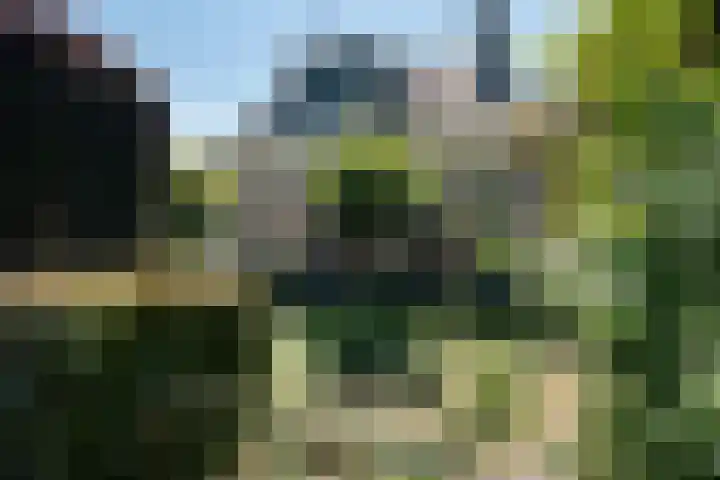 't Hou 4 Langezwaag thumbnail 5