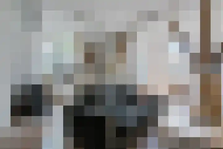 't Hou 4 Langezwaag thumbnail 50