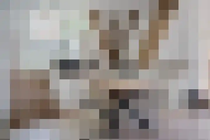 't Hou 4 Langezwaag thumbnail 51