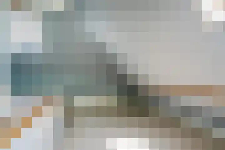 't Hou 4 Langezwaag thumbnail 54