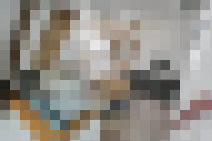 't Hou 4 Langezwaag thumbnail 57
