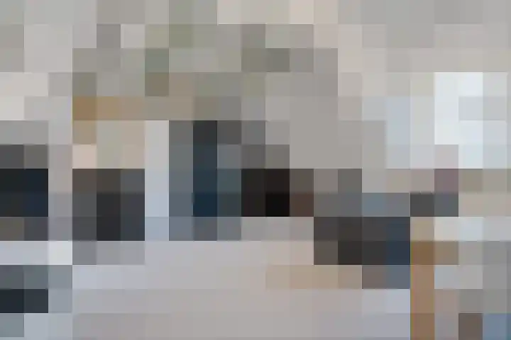 't Hou 4 Langezwaag thumbnail 59